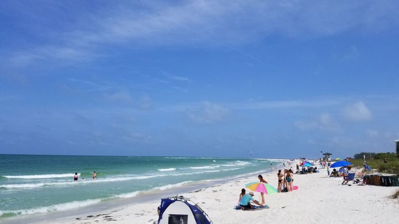 Photo of Others in Sarasota