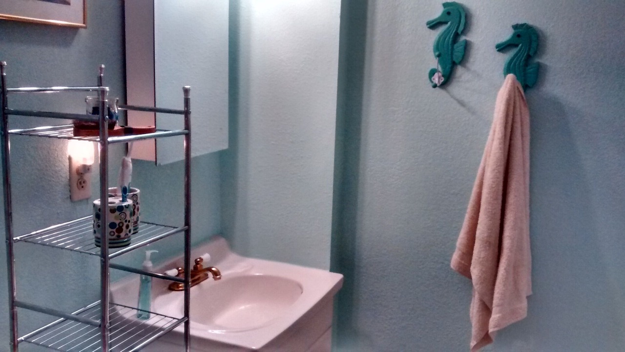 Photo of Bathroom in Indian Shores