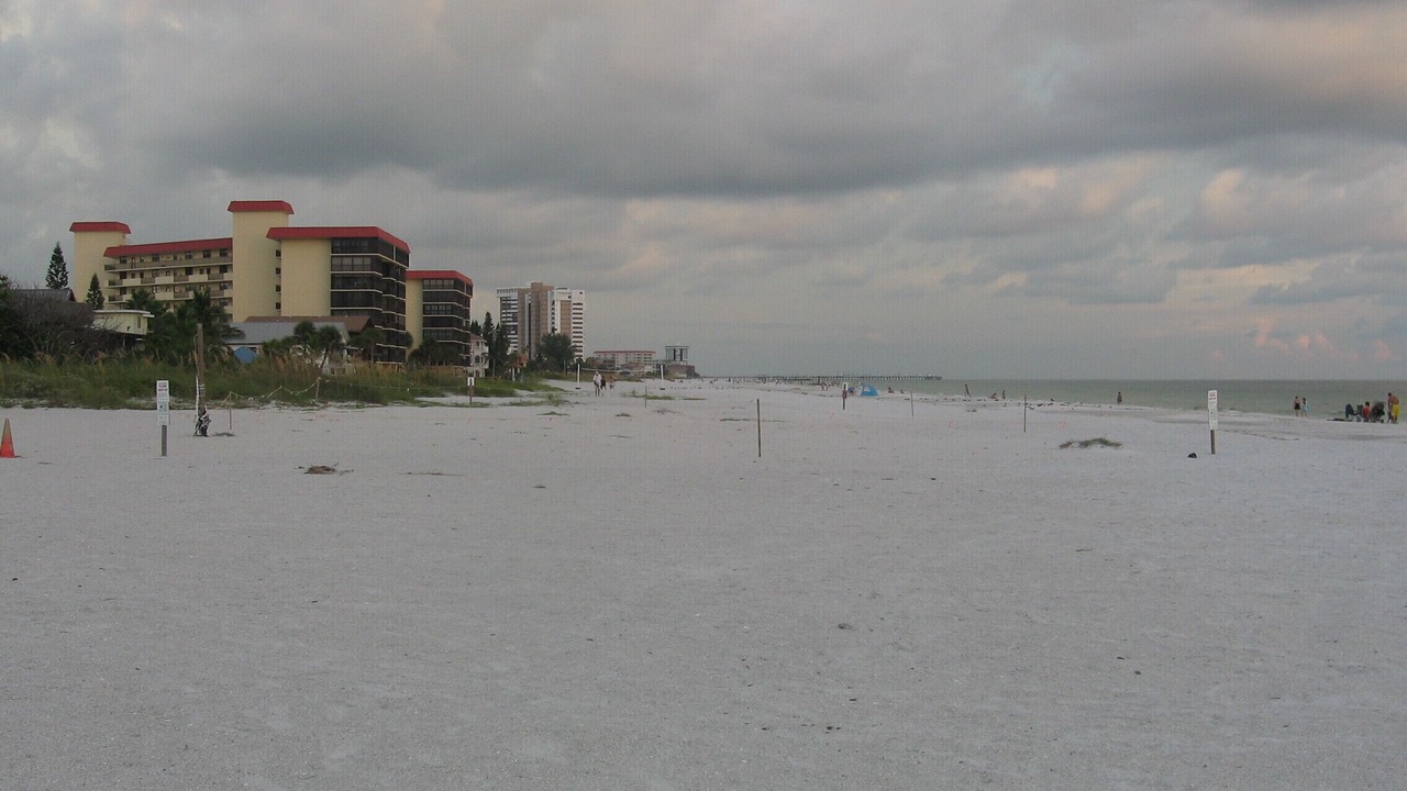 Photo of Others in Indian Shores