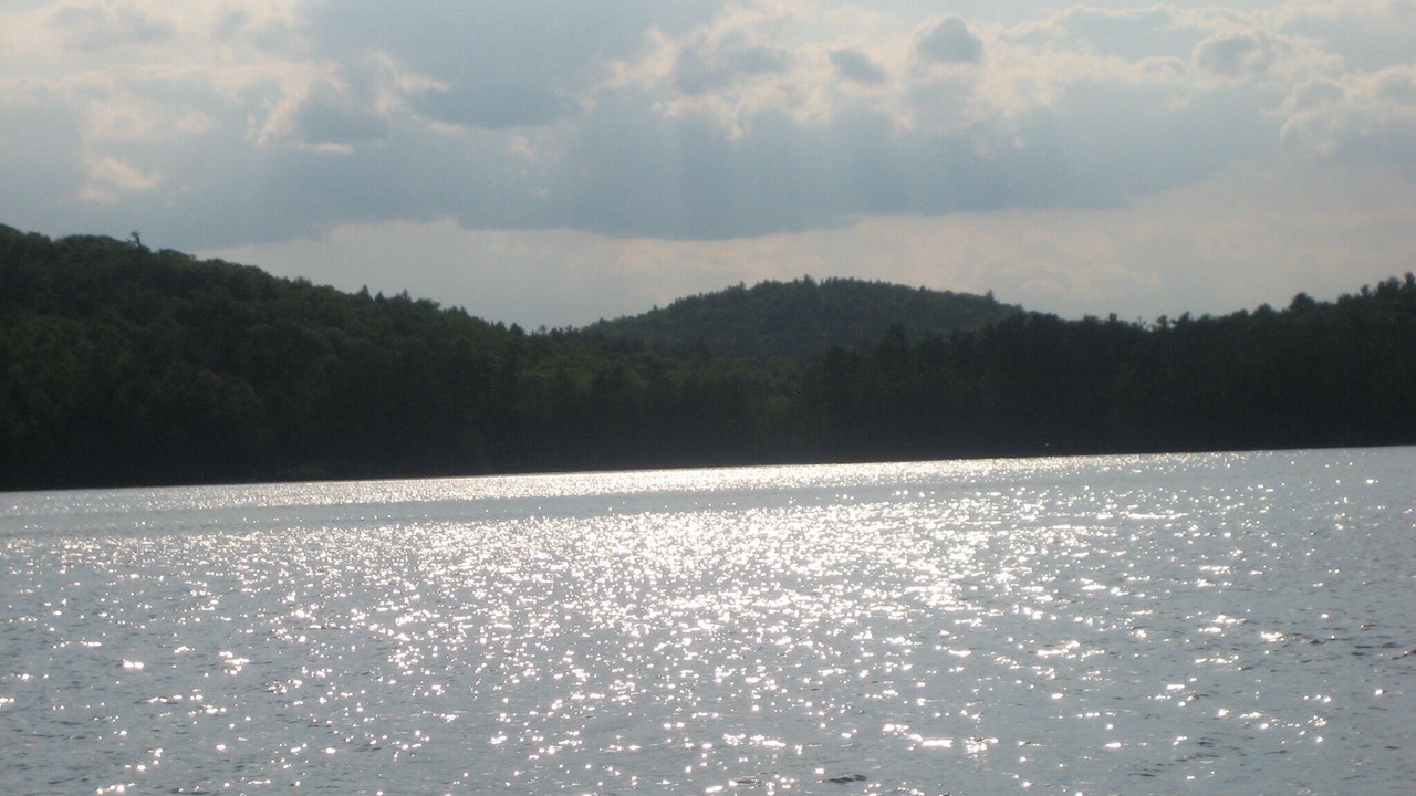 Photo of Others in Bryant Pond