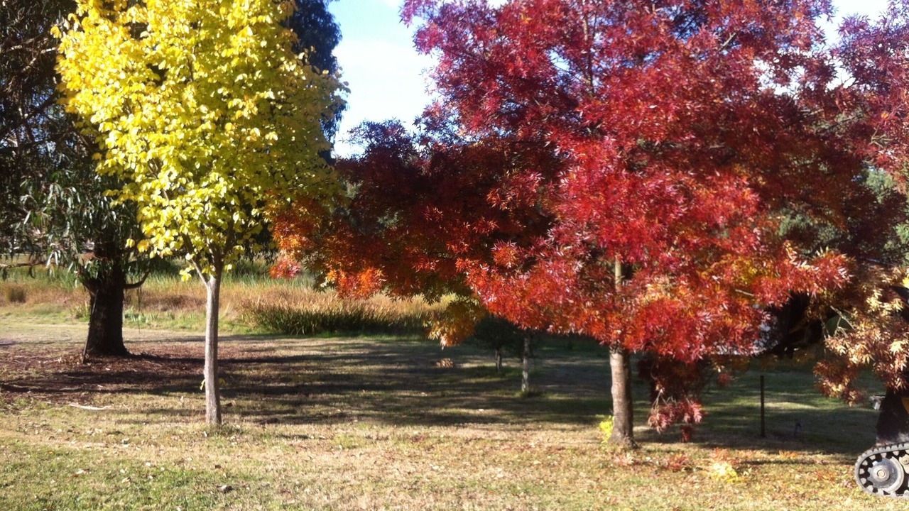 Photo of Outdoor in Oberon
