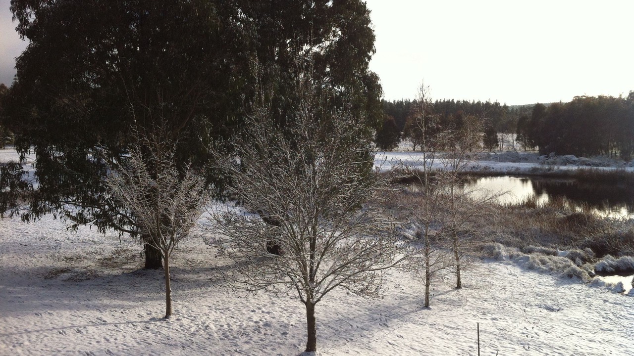 Photo of Others in Oberon