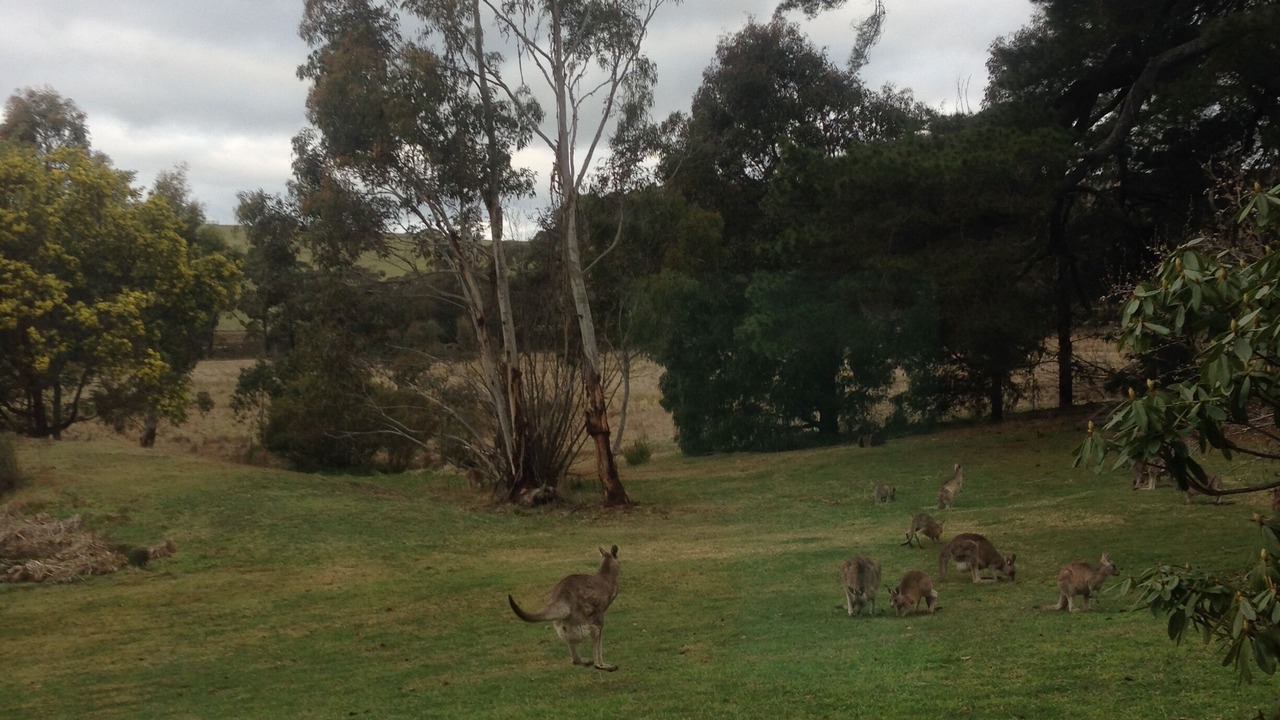 Photo of Outdoor in Oberon