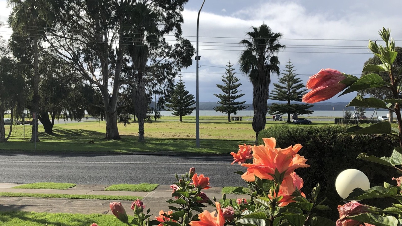 Photo of Outdoor in Batehaven