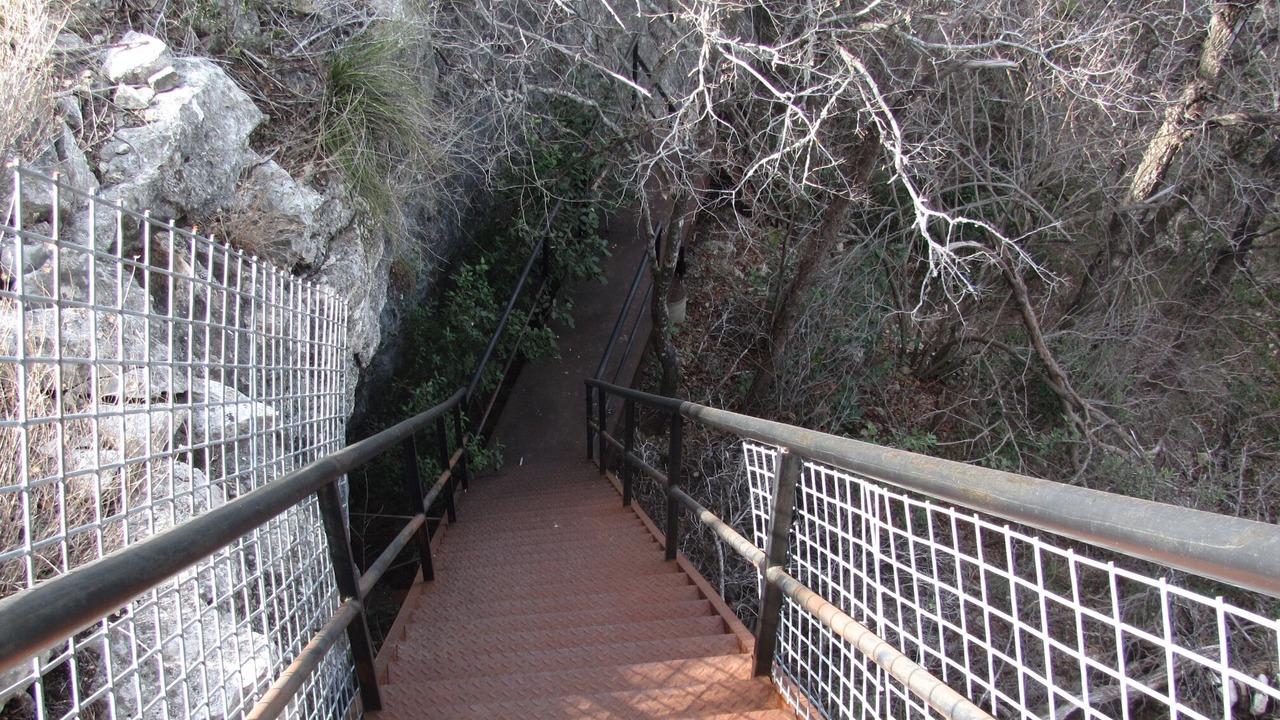 Photo of Others in Hammett's Crossing