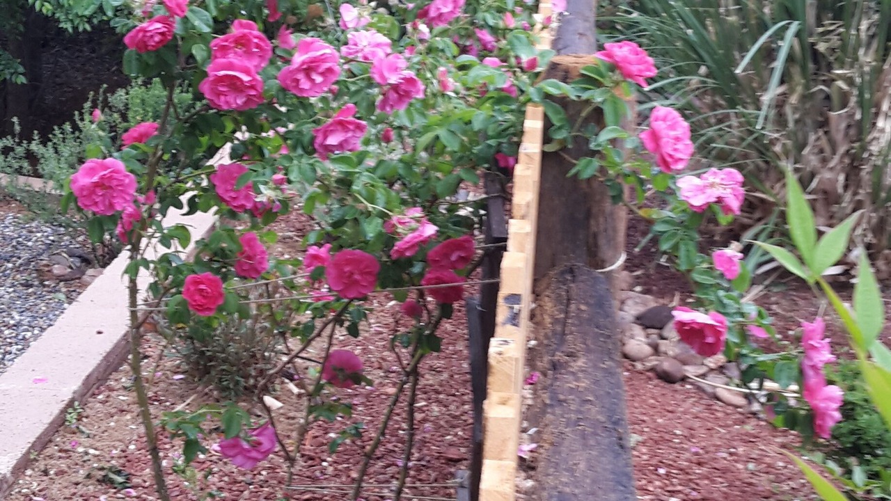 Photo of Outdoor in West Sedona