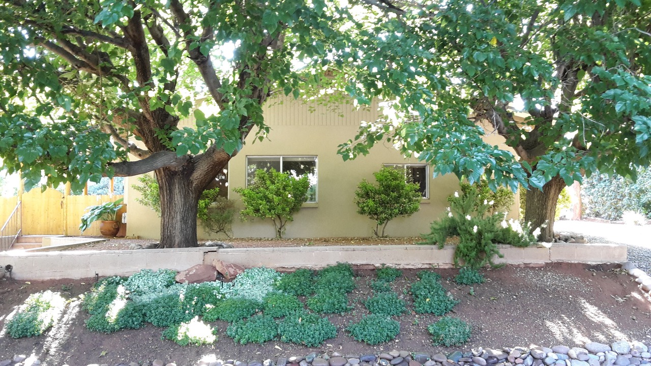 Photo of Others in West Sedona