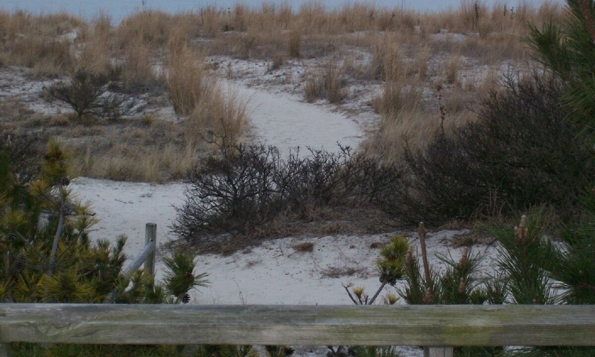 Photo of Others in Broadkill Beach