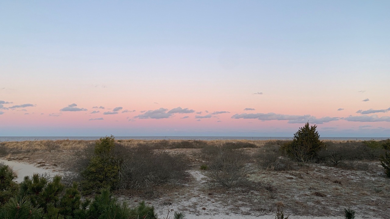 Photo of Outdoor in Broadkill Beach