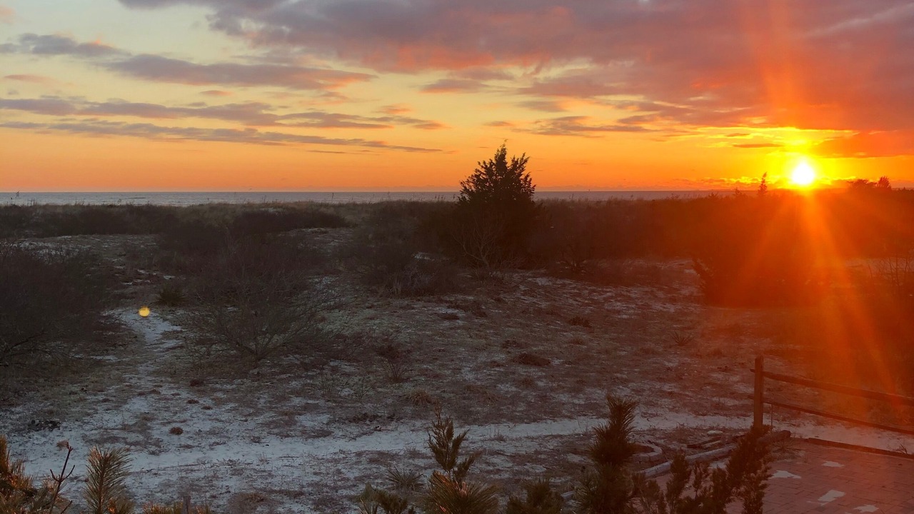 Photo of Others in Broadkill Beach