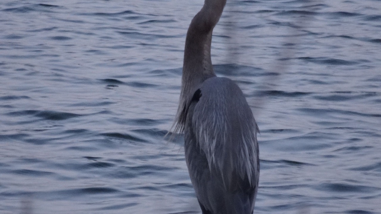 Photo of Others in Granbury