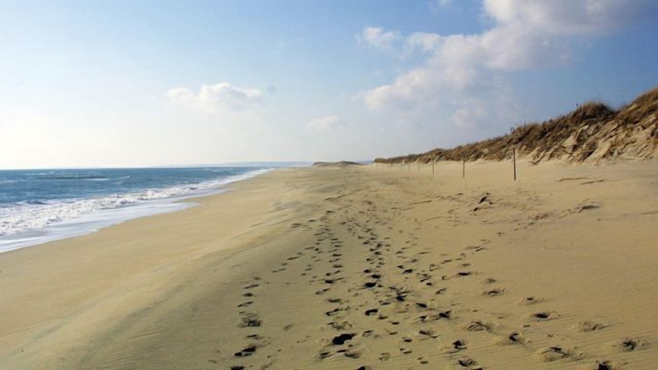 Photo of Others in West Tisbury