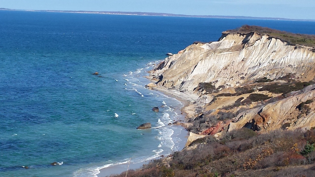 Photo of Others in West Tisbury