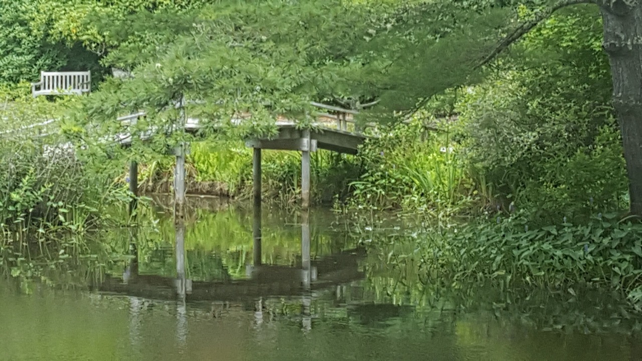 Photo of Outdoor in West Tisbury