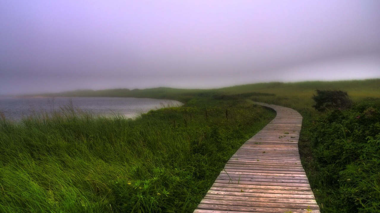 Photo of Others in West Tisbury