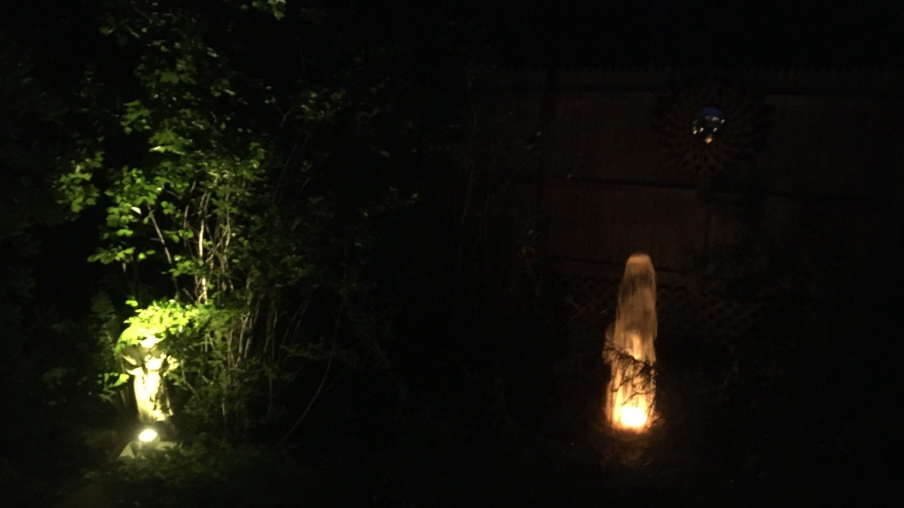 Photo of Others in Fire Island Pines