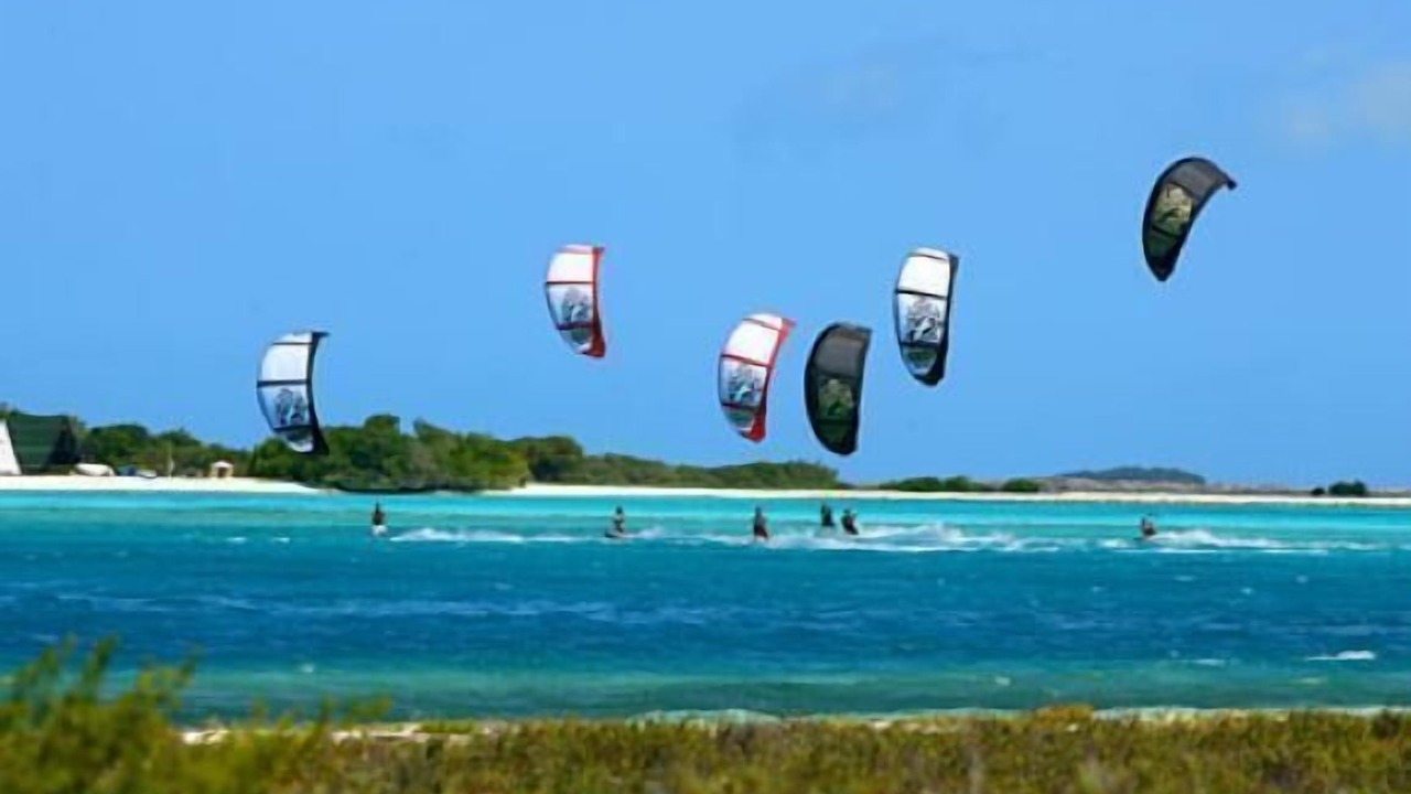 Photo of Others in South Padre Island