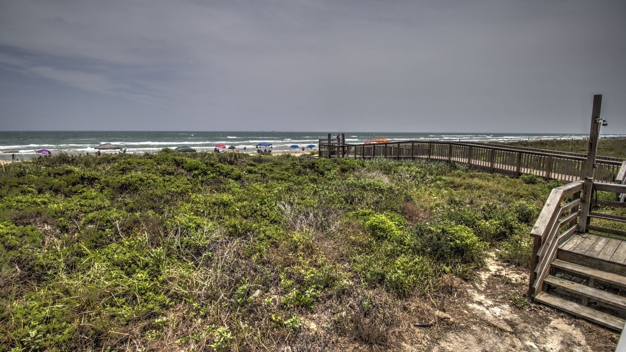 Photo of Others in South Padre Island