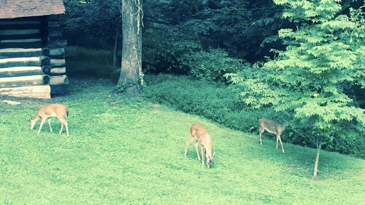 Photo of Others in Winston - Salem