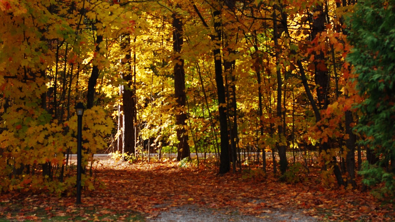 Photo of Others in Petoskey