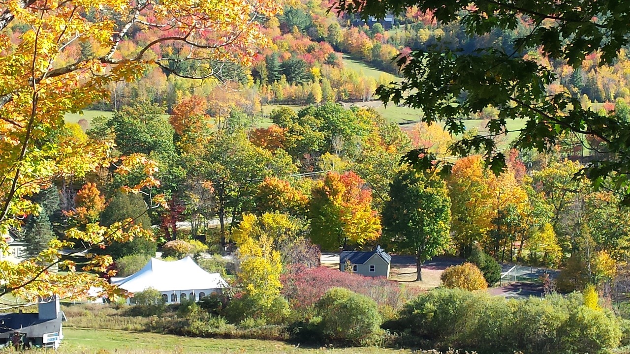 Photo of Others in Jackson