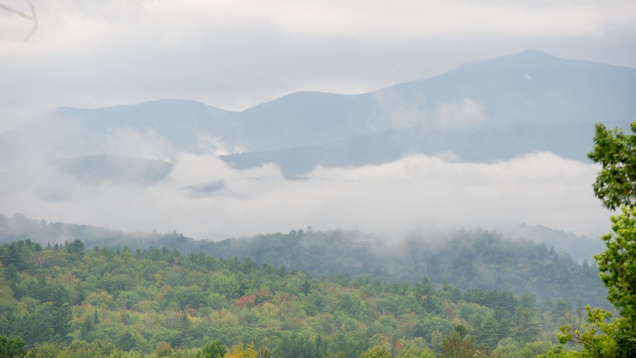 Photo of Others in Jackson