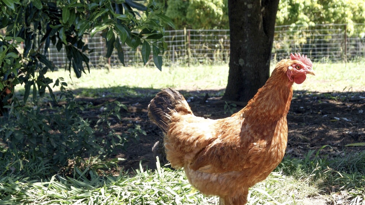 Photo of Outdoor in Dorroughby