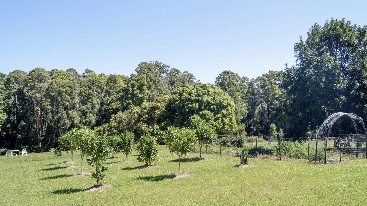 Photo of Outdoor in Dorroughby