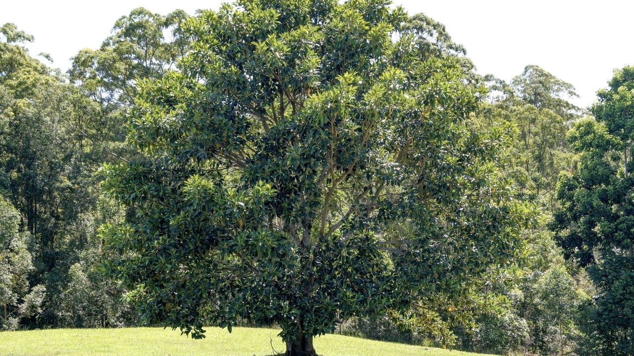 Photo of Others in Dorroughby