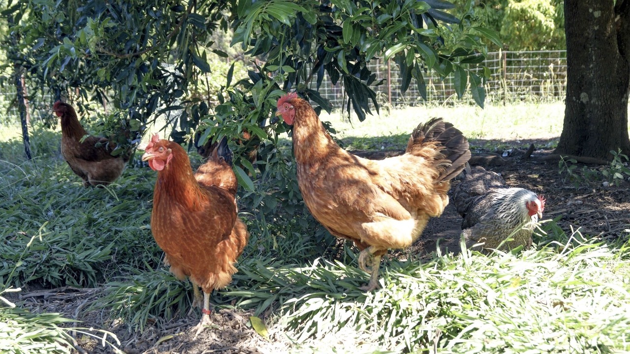 Photo of Outdoor in Dorroughby