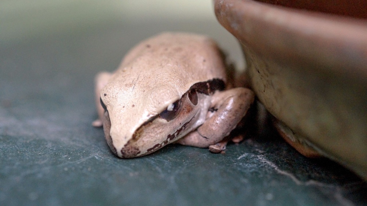 Photo of Others in Dorroughby