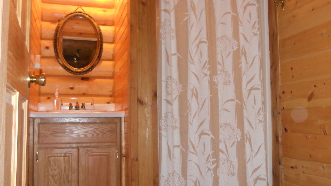 Photo of Bathroom in Charlevoix