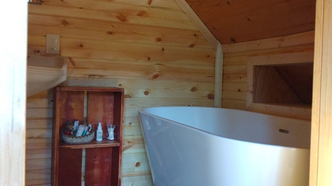 Photo of Bathroom in Charlevoix