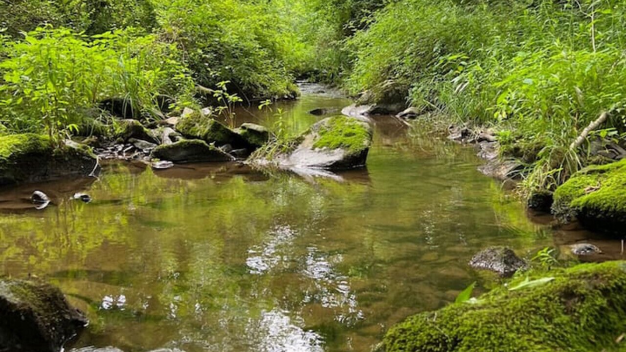 Photo of Others in Robesonia