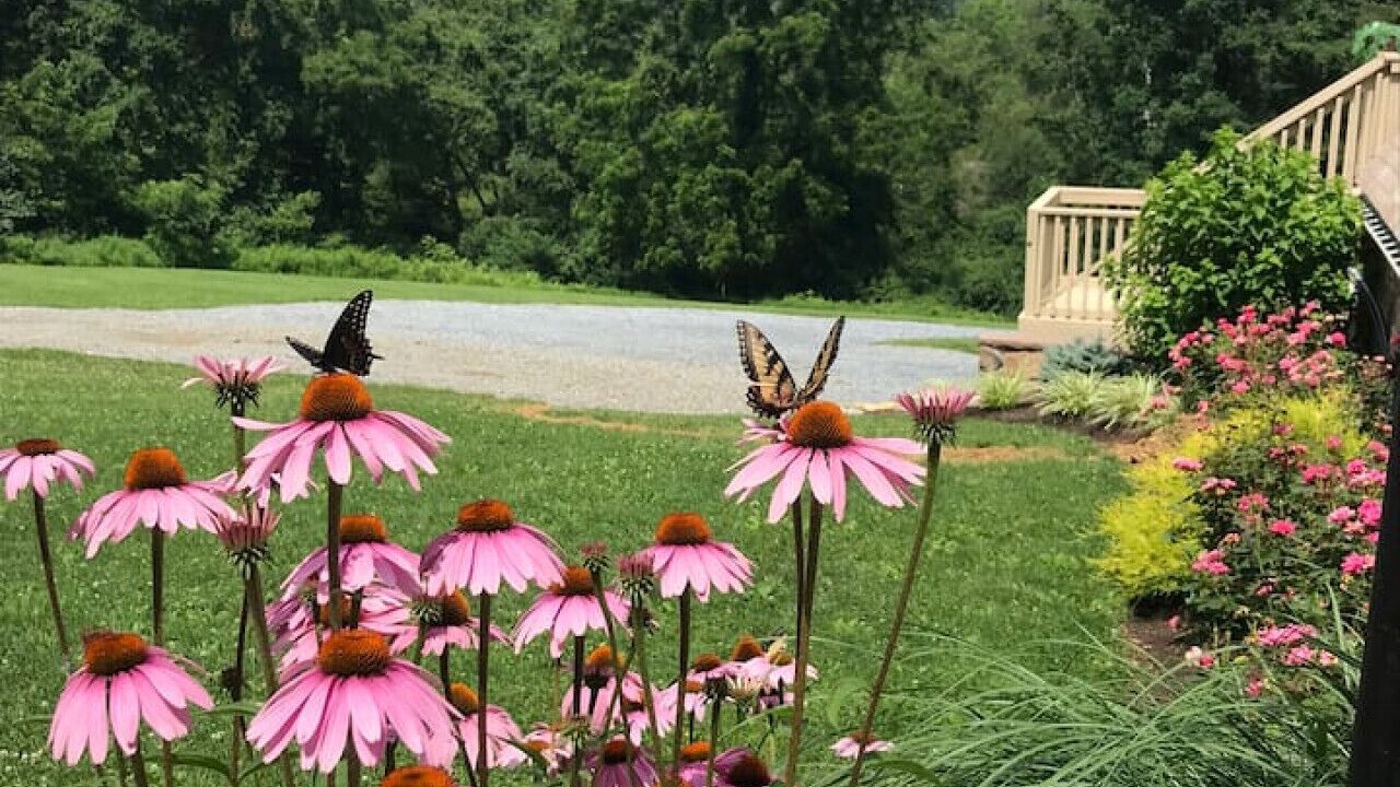 Photo of Outdoor in Robesonia