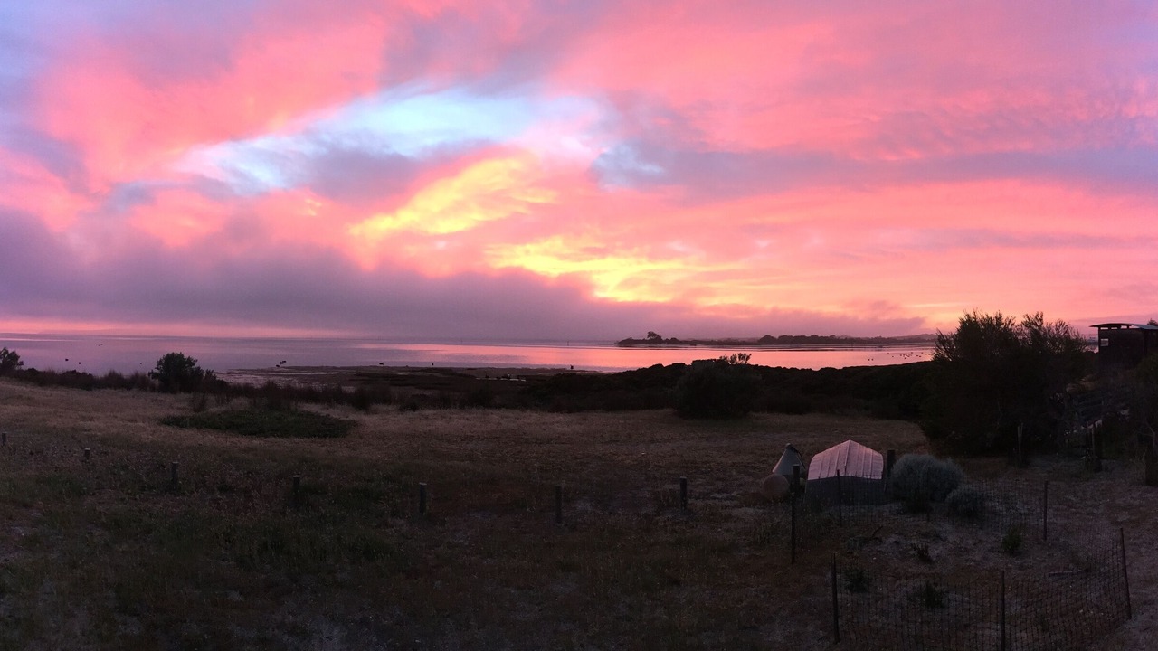 Photo of Others in American River