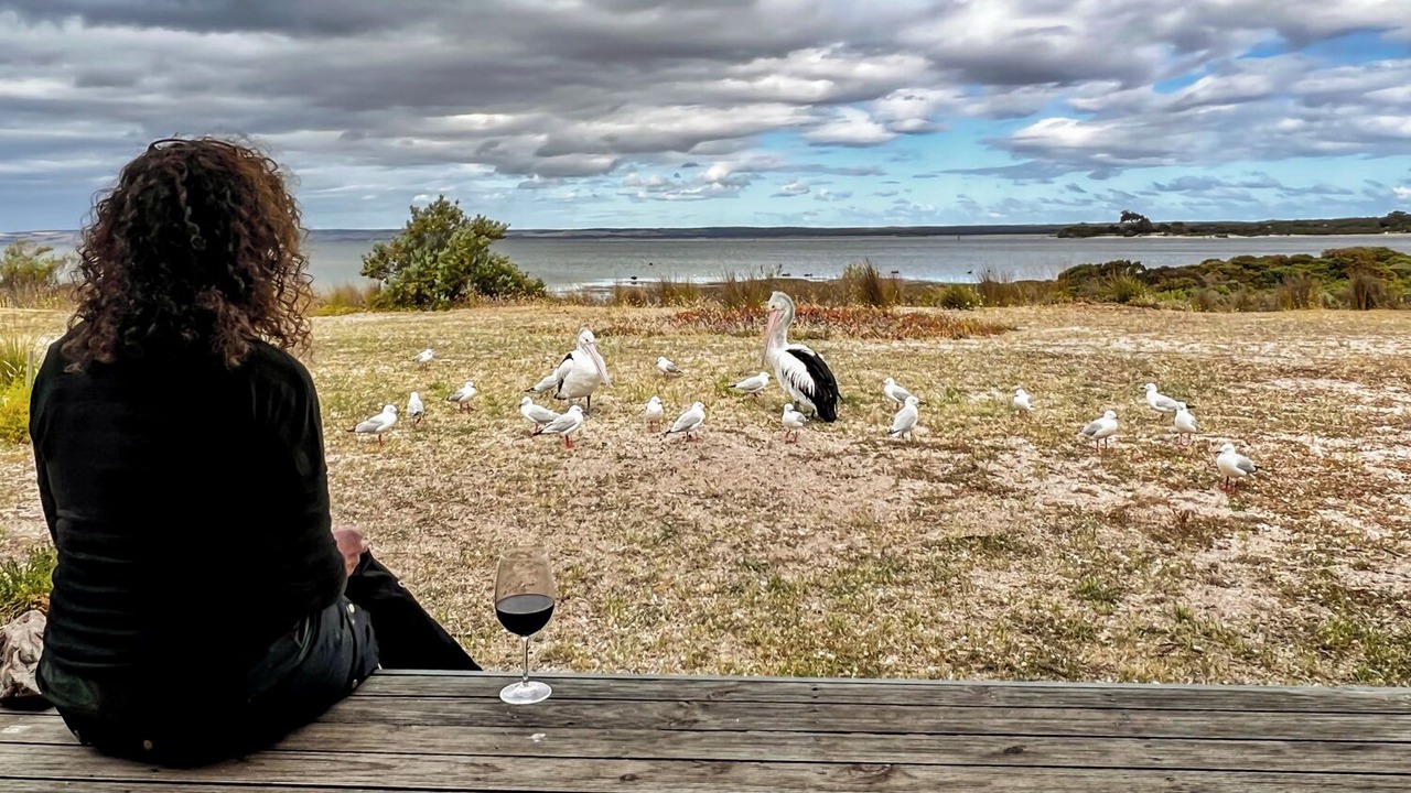 Photo of Others in American River
