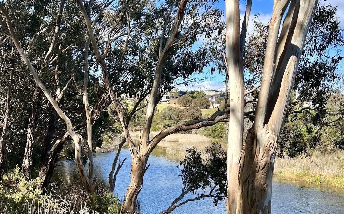 Photo of Others in Torquay