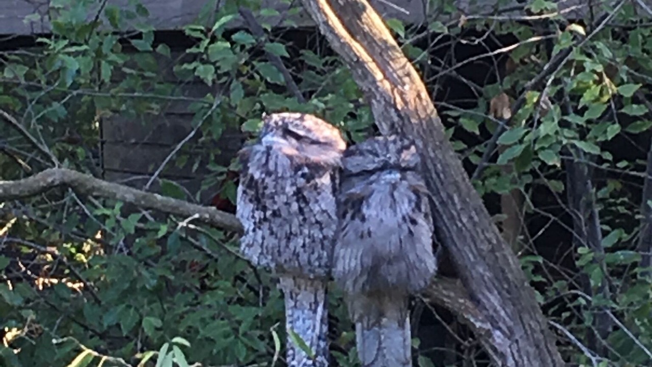 Photo of Outdoor in Torquay