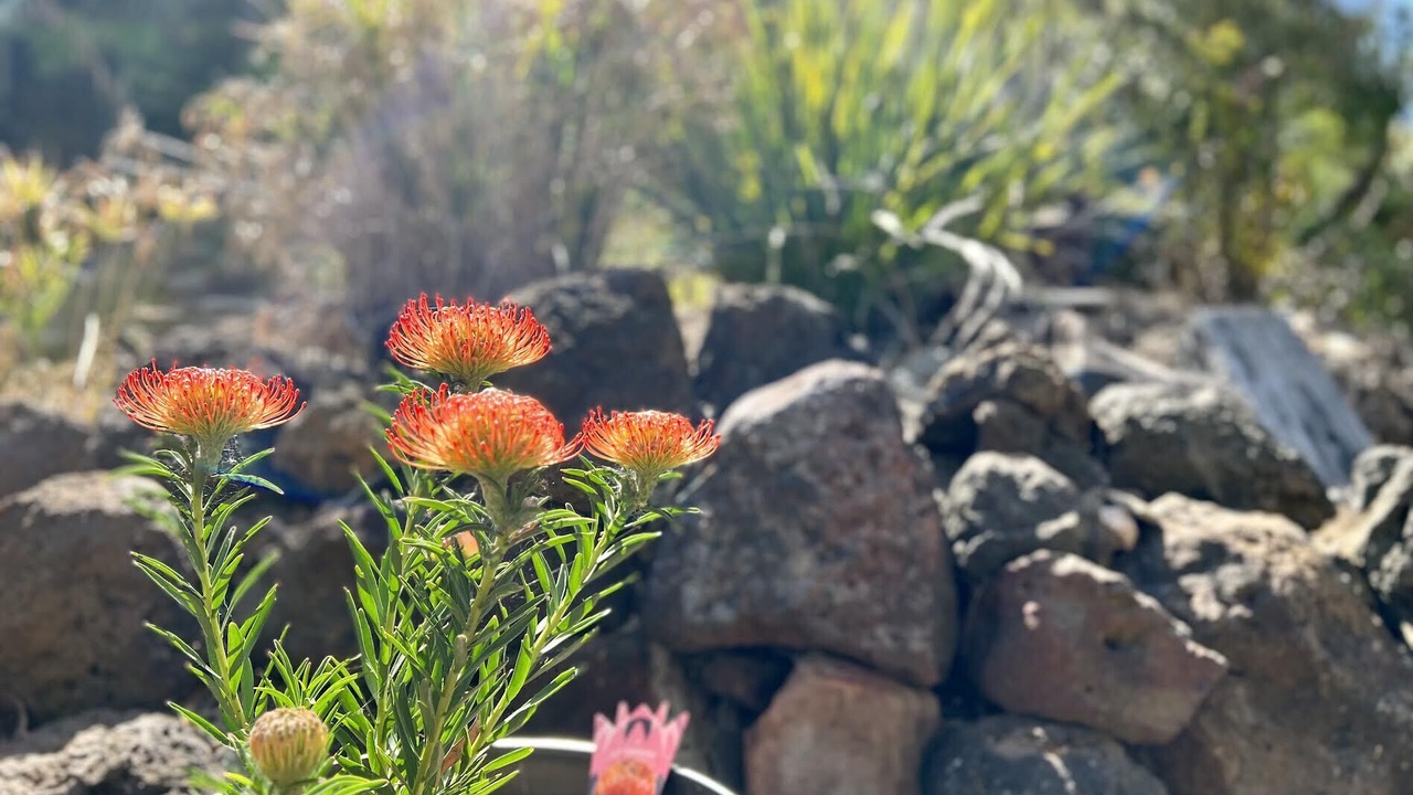 Photo of Others in Torquay