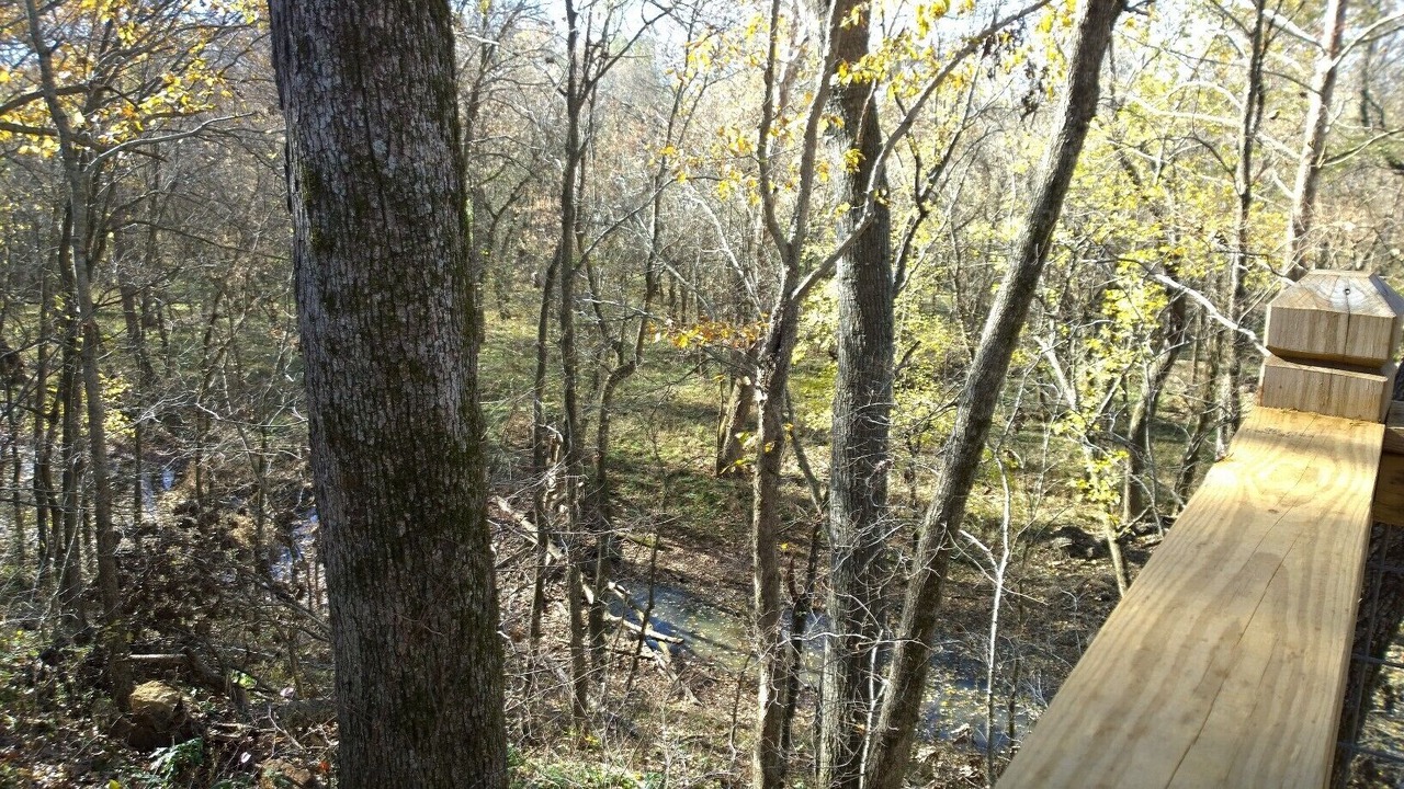 Photo of Others in Steelville