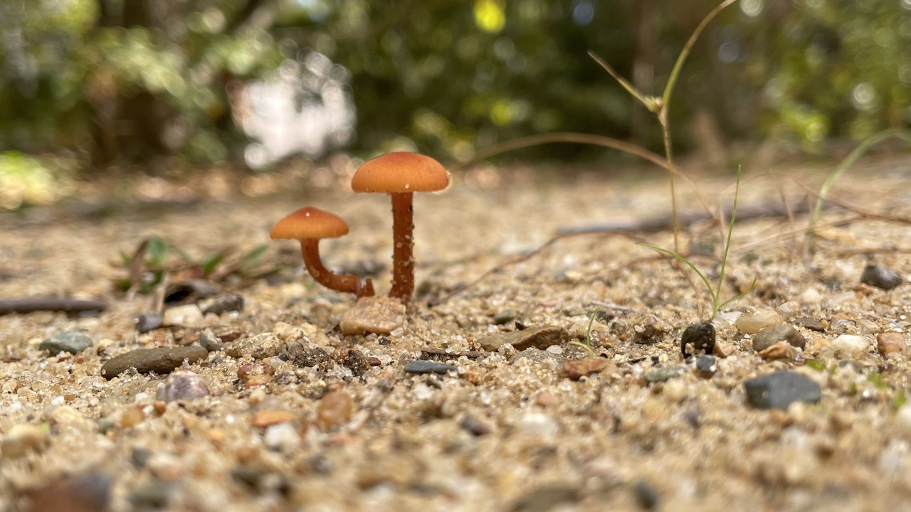 Photo of Others in Eastham