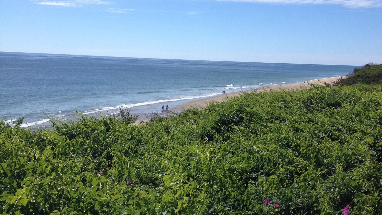 Photo of Others in Eastham