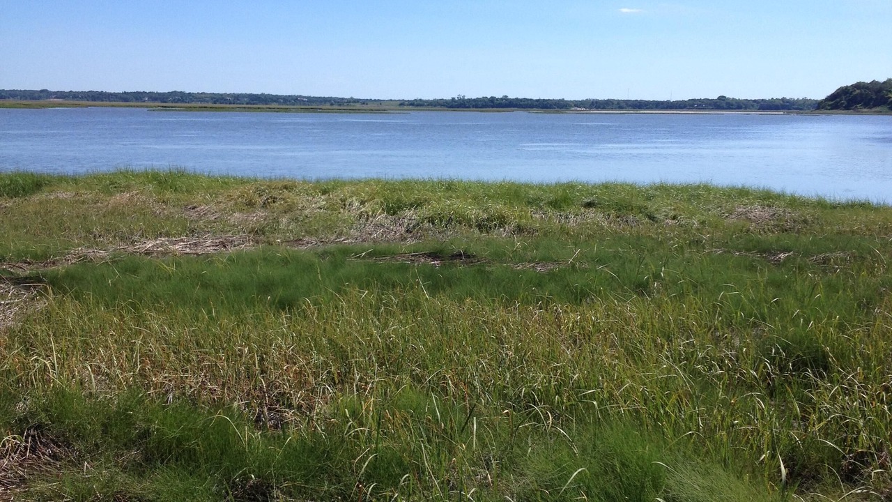 Photo of Others in Eastham