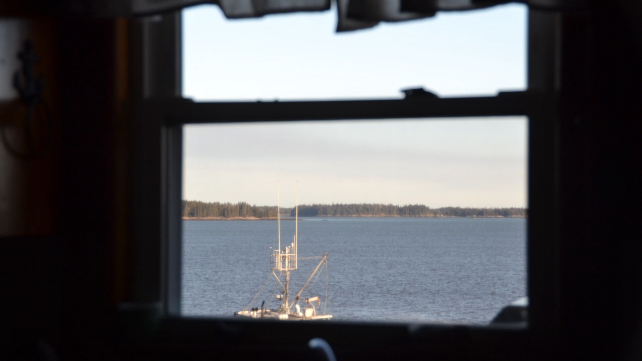 Photo of Others in Milbridge