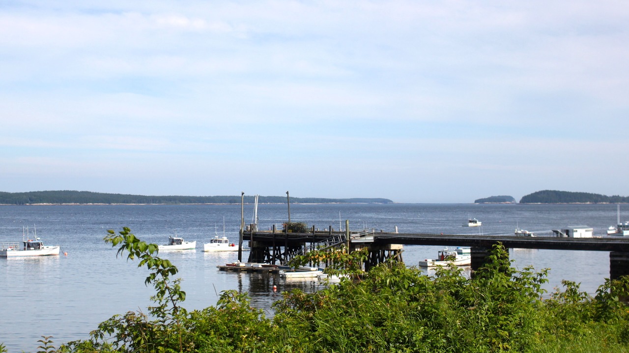 Photo of Others in Milbridge