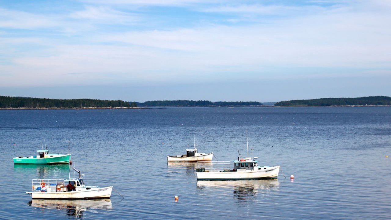 Photo of Others in Milbridge