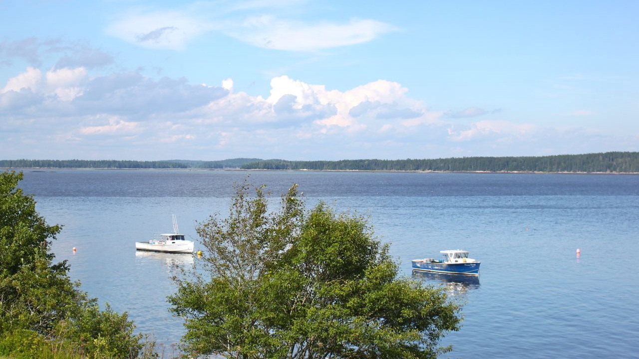 Photo of Others in Milbridge