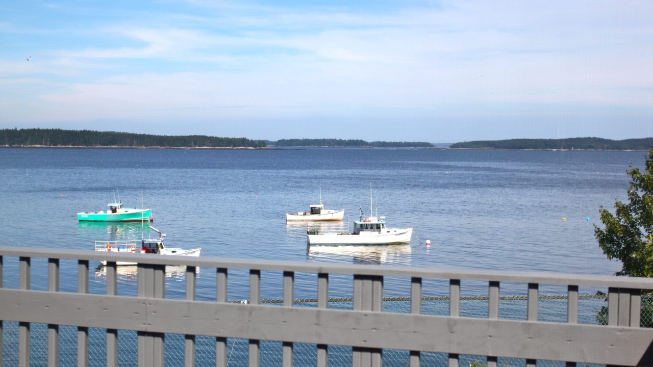 Photo of Others in Milbridge