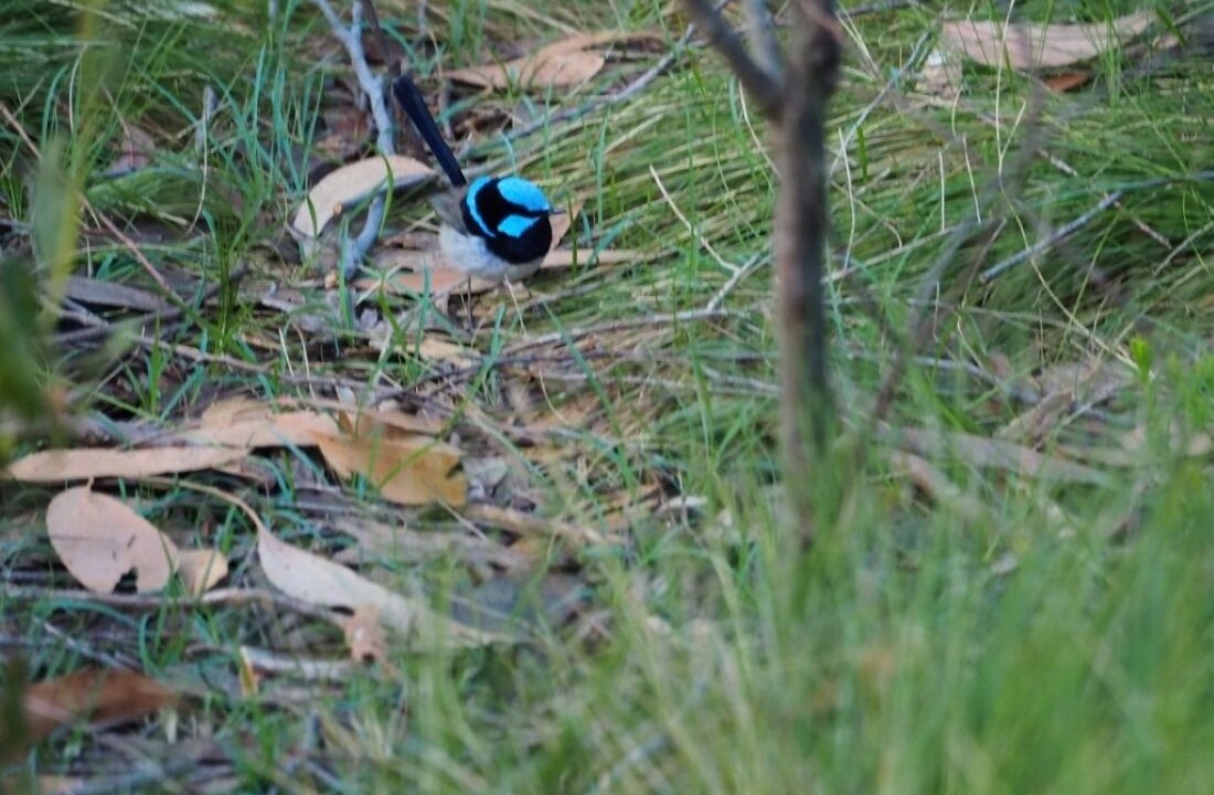 Photo of Others in Deep Creek